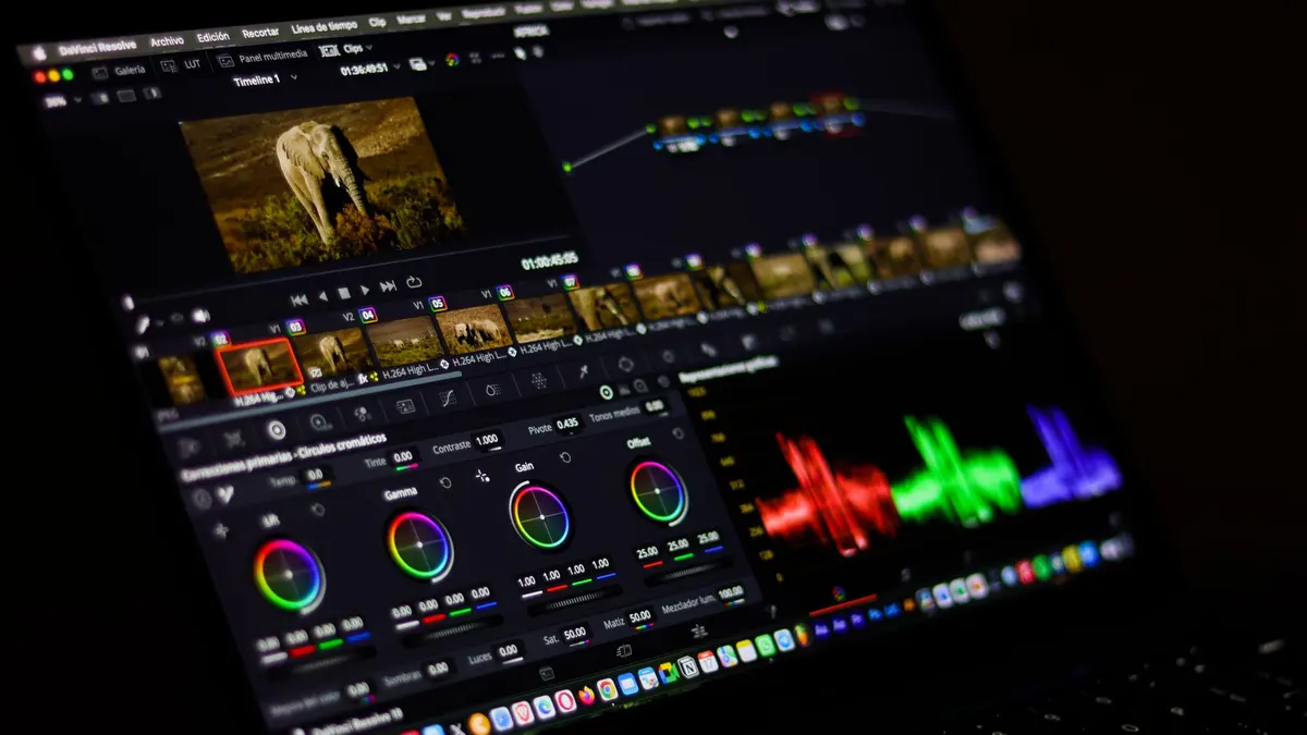 Close-up view of professional video editing software displaying colorful waveforms.